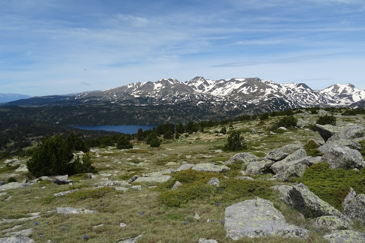 DSC02388.JPG