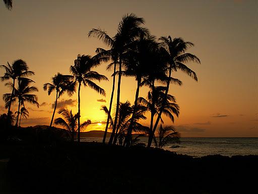 kauai wedding reception