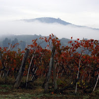 Nebbia alla Roveta di 