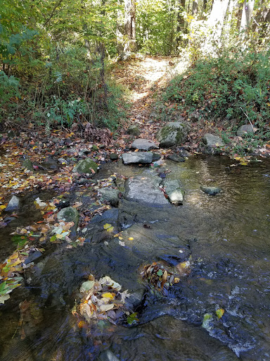 Nature Preserve «Sadsbury Woods Preserve», reviews and photos, Ramblewood Dr & Northwood Dr, Coatesville, PA 19320, USA