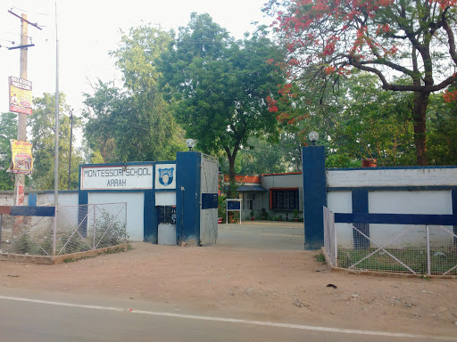 Montessori School, South Ramna Road, Old Police Line, Arrah, Bihar 802301, India, Montessori_School, state BR