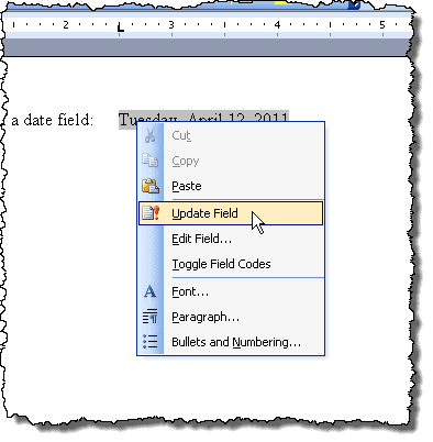 Actualización de un campo en Word 2003