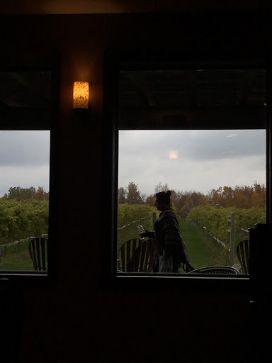 Winery «Dancing Dragonfly Winery», reviews and photos, 2013 120th Ave, St Croix Falls, WI 54024, USA