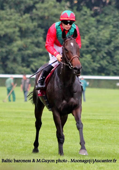 Prix Vermeille 2014 (Gr.I, Longchamp) 14-09 : Baltic baroness IMG_3430