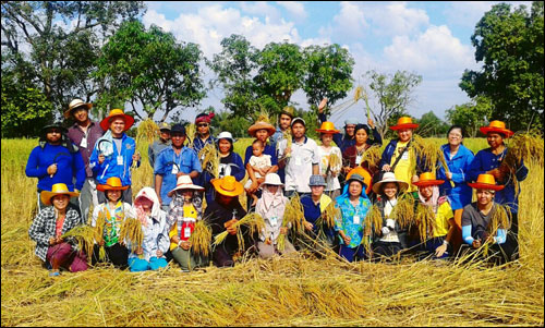 ภาพประทับใจ จากเครือข่ายฅนกินข้าวเกื้อกูลชาวนา