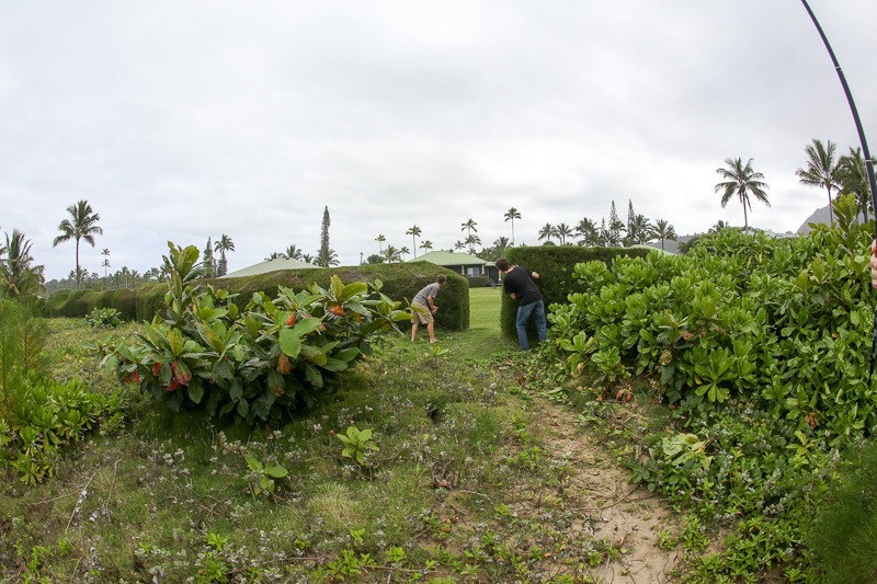 kilauea & hanalei-19