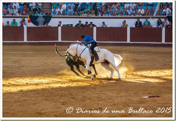 Toros Feria 2015-9914