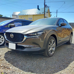 CX-30 DMFP