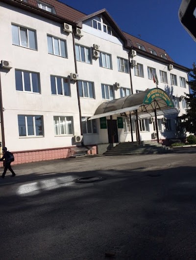 university