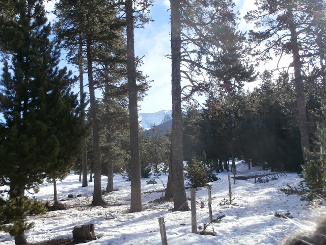 La Cambre d'Aze entre los arboles