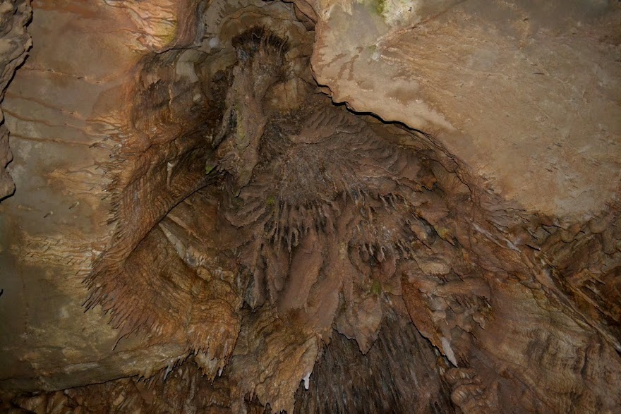 Национальный парк Мамонтова пещера, Кентукки (Mammoth Cave National Park, KY)