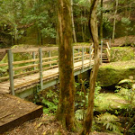 Timber bridge near the Moss Wall in the Watagans (322673)