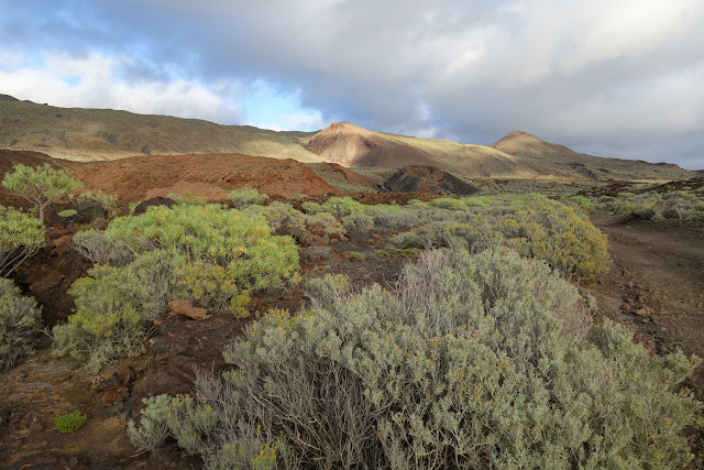 4 días en El Hierro (Canarias). Una isla vertiginosa y espectacular. 2ª parte. - De viaje por España (31)