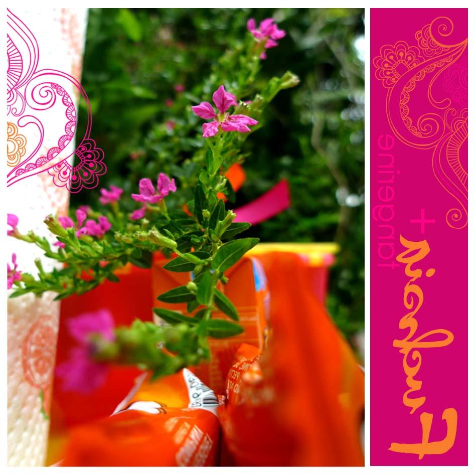 pink fuchsia and orange,