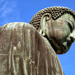 Daibutsu-chan in Kamakura, Japan 