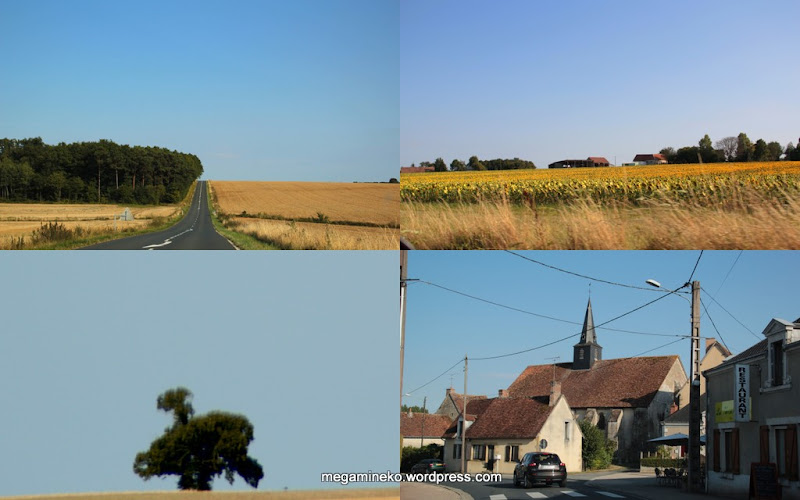 DÍA 6: CASTILLO DE CHAMBORD Y CASTILLO DE CHEVERNY – MONTRÉSOR - PAIS VASCO Y VALLE DEL LOIRA (12)