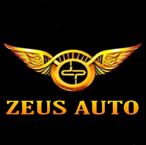 Zeus Autodent - boyasız göçük onarım merkezi logo