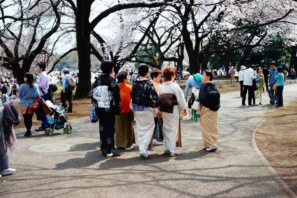 Tokyo hanami