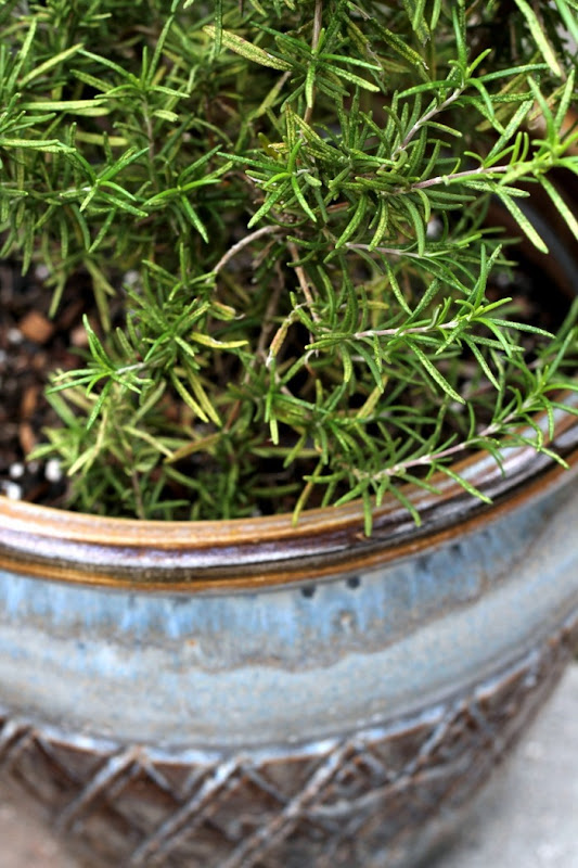 Herb Bouquet Garni via homework (4)