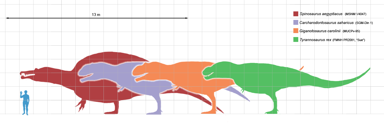 파일:external/upload.wikimedia.org/Largesttheropods.png