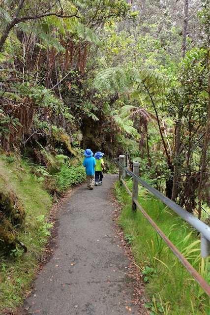  Hiking at Hawaii Volcanoes National Park