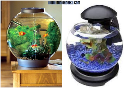 Aquarium bulat mini dengan air terjun