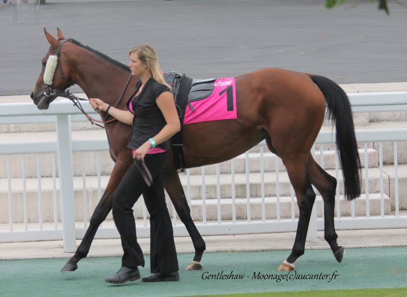 Photos Chantilly 12-07-2015 IMG_2754