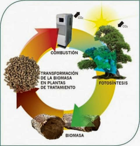 Biomass Plant In Albacete Which Will Create About 300 Jobs