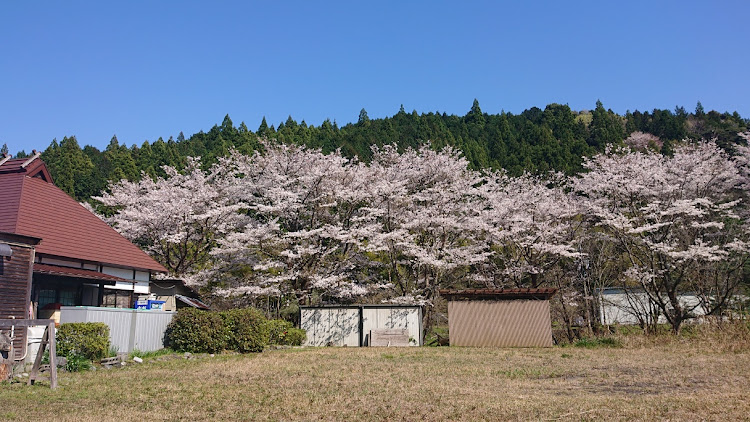 の投稿画像3枚目