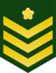 파일:external/upload.wikimedia.org/80px-JGSDF_Leading_Private_insignia_%28a%29.svg.png