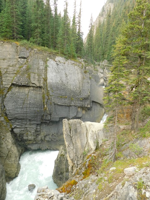 C101_CAN AL Banff NP Weeping Wall_2018-08-14_DSCN2425