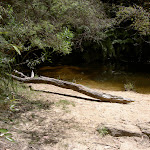 Boyd Beach (15265)