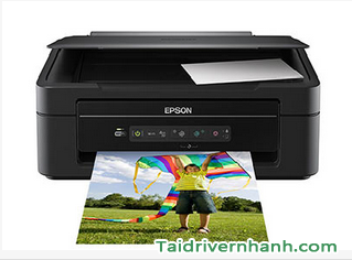 tải và setup phần mềm driver setup máy in Epson XP-203