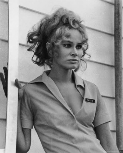 Karen Black Profile pictures, Dp Images, Display pics collection for whatsapp, Facebook, Instagram, Pinterest, Hi5.