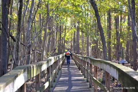 Cleaning the boardwalk