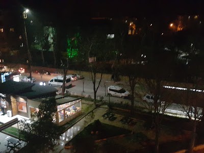 Photos of Divers Park