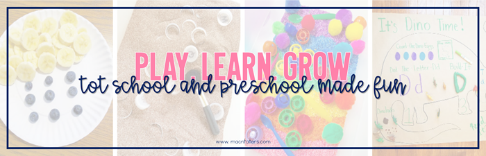 Play Learn Grow Tot School and Preschool Group