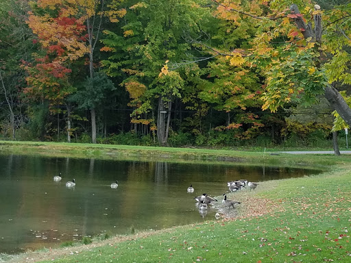 Restaurant «Colden Lakeside Restaurant», reviews and photos, 9504 Heath Rd, Colden, NY 14033, USA