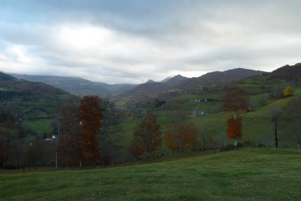 P1040626.JPG