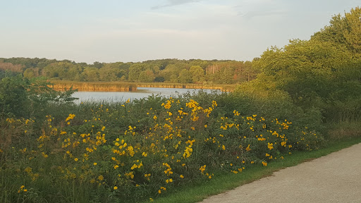 Nature Preserve «McDonald Woods Forest Preserve», reviews and photos, 19611 W Grass Lake Rd, Lake Villa, IL 60046, USA