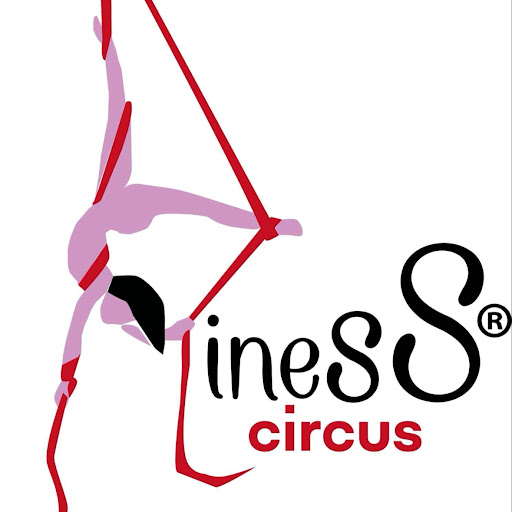 inesS - aerial circus and pilates logo