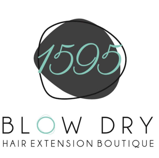 1595 Blow Dry Hair Extension Boutique