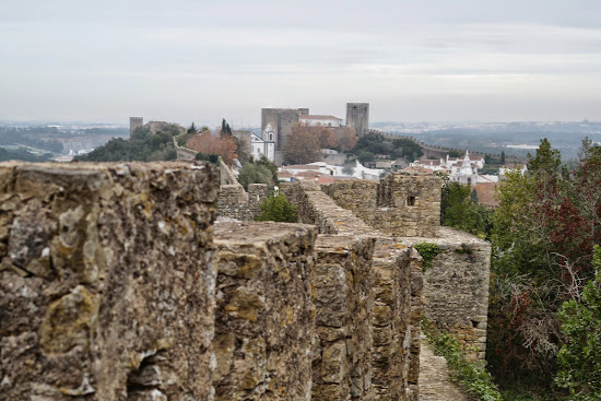 CASTELO BRANCO. FIN DEL VIAJE - EL CORAZÓN DE PORTUGAL: MONASTERIOS, CASTILLOS Y ALDEAS (15)