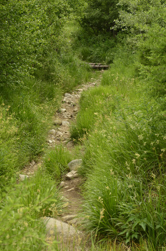 Татры, июнь 2015. с собакой