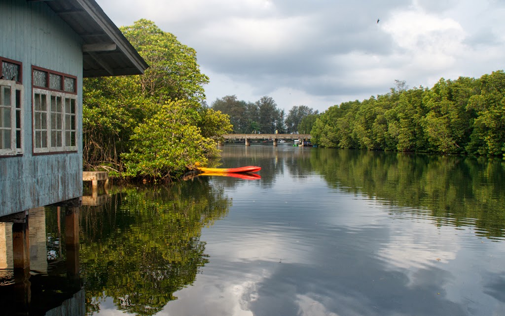 Koh Kood: Mangrove Bungalow