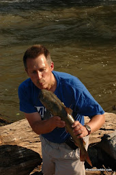 Potomac River catfish on fly