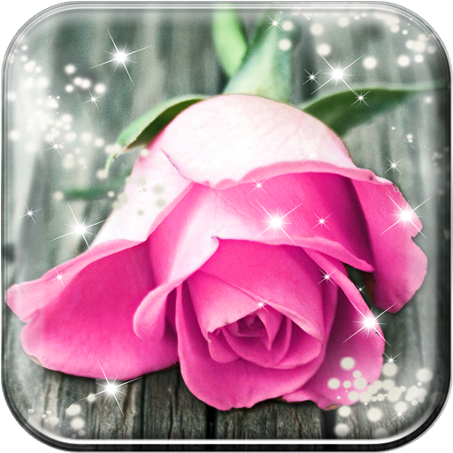 Pink Rose Live Wallpaper HD 個人化 App LOGO-APP開箱王