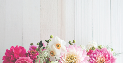 Photos of Flowers in the house MB