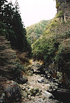 Hozu-gawa River, near Kyoto, Japan.