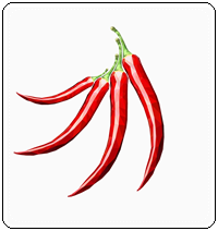 คำศัพท์ภาษาอังกฤษ_red pepper_Vegetable